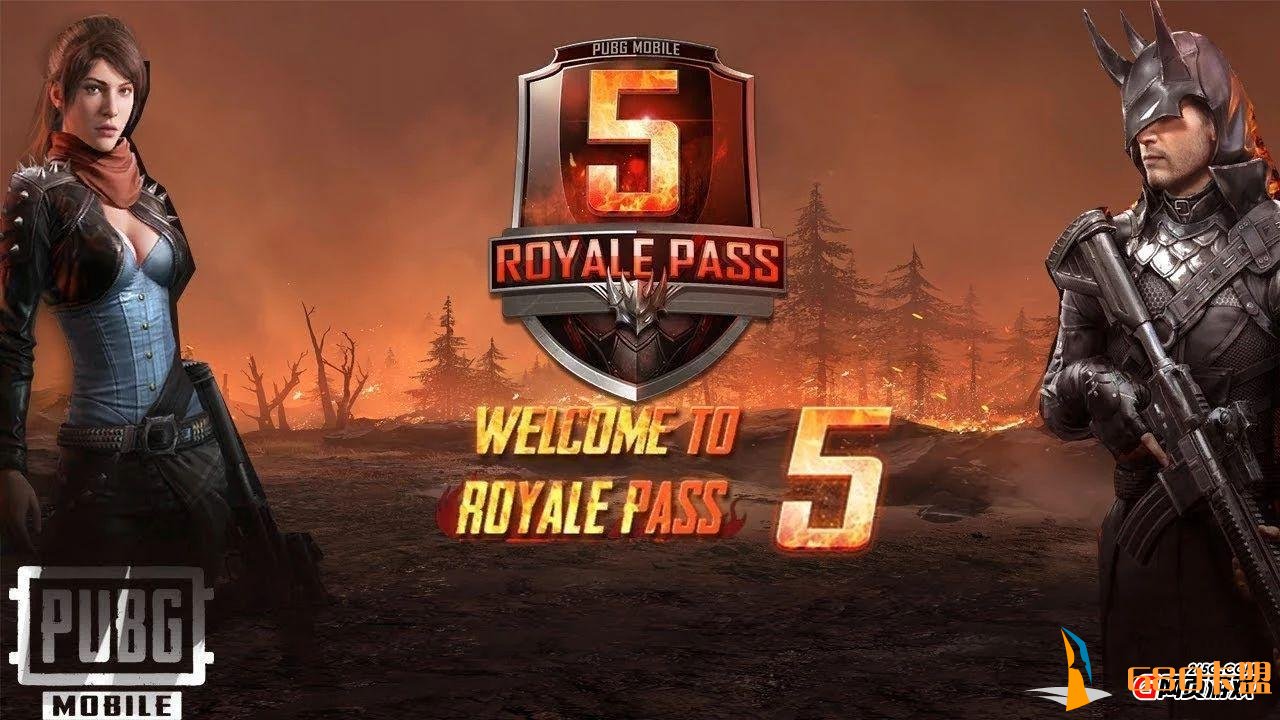 《絕地求生卡盟 Magnet》深度解析:游戲輔助工具的安全性與合規性探討