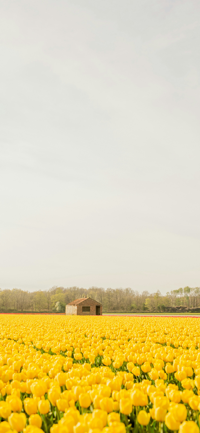 DNF官網登錄入口及最新資訊-DNF官網登錄入口詳解與玩家指南