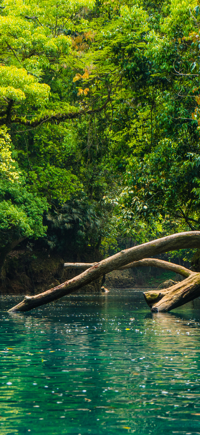 DNF官網(wǎng)登錄入口及最新資訊-DNF官網(wǎng)登錄入口詳解與玩家指南